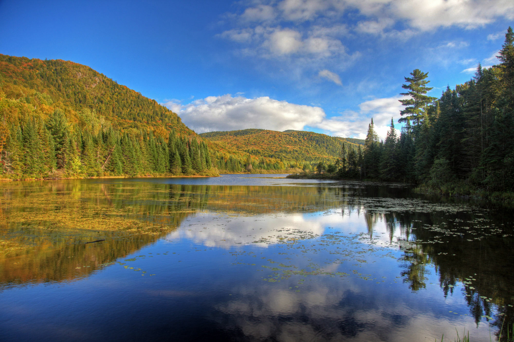 Hotel Vacances Tremblant Mont-Tremblant Dış mekan fotoğraf